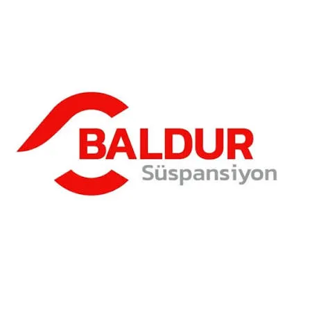 Baldur suspansiyon